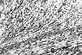 2019_05_01_Auvergne (0050)